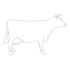 Contour of a cow from black lines on a white background. Side view. Vector illustration