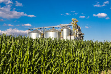 Modern Granary elevator. Silver silos on agro-processing and manufacturing plant for processing drying cleaning and storage of agricultural products, flour, cereals and grain. © hiv360