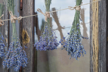 Drying bouquets of lavender are reflected in the window. 