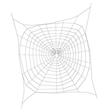 Spider wireframe on a large web. View from above. 3D. Vector illustration