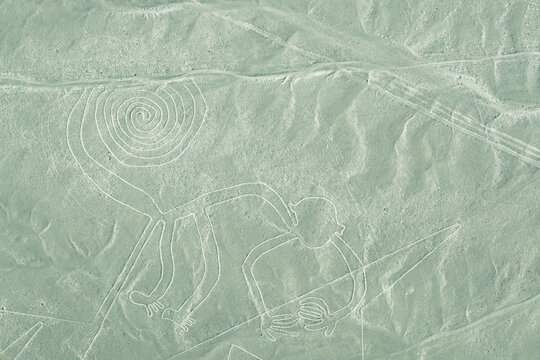 Nazca Lines - The Monkey