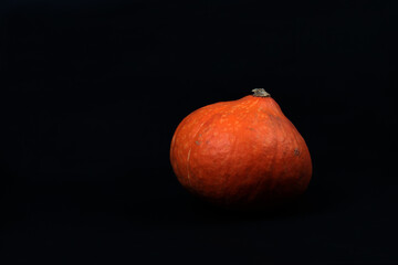 pumpkin against black background. Image contains copy space