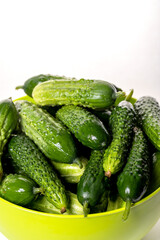Fresh cucumbers on a white background.