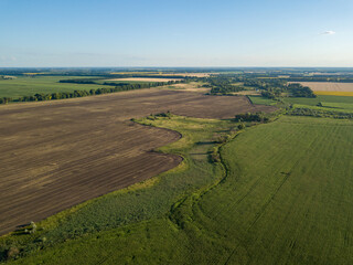 Aerial drone view. Ukrainian agricultural fields in summer.