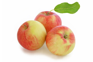 Three red-yellow apples with leaf  isolated on white