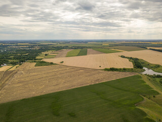 Ripe wheat field in Ukraine. Summer clear day. Aerial view.