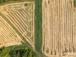 Aerial drone view. Smooth geometric borders of Ukrainian agricultural fields. Summer clear day.