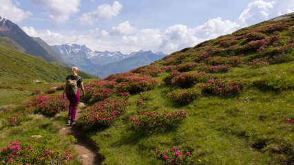 Fototapeta premium Wanderung in den Alpen