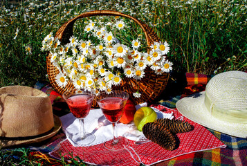 Daisies in the basket on the picnic blanket with rose wine and fruits on the meadow.