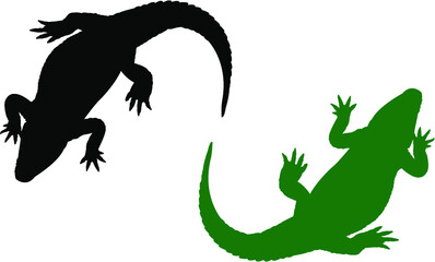 silhouette of a alligator