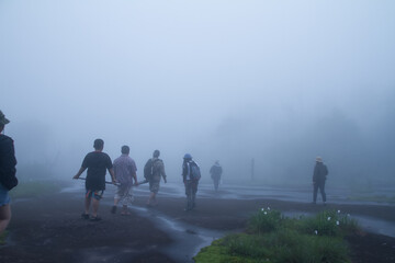 people walking in the fog
