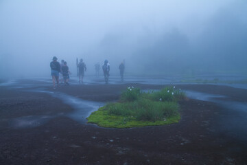 people walking in the fog