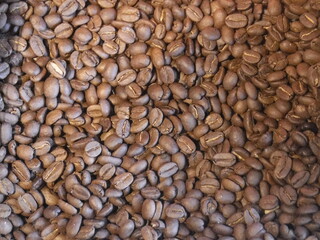 Sunset coffee beans　～サンセットのコーヒー豆
