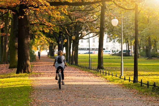 Cyclist rides a bicycle in the Tiergarten park in Berlin	