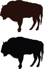 black silhouette of a bull