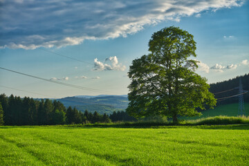 Nebelbank im Tal