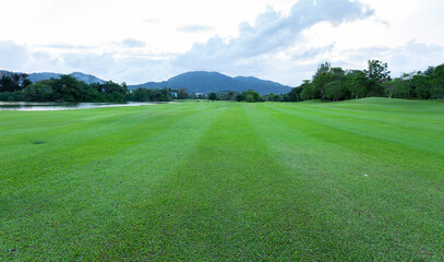 Beautiful green grass field of golf course.