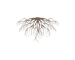 root of the tree vector illustration