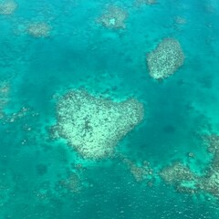 グレートバリアリーフ　ケアンズ  オーストラリア
Great Barrier Reef Cairns Australia