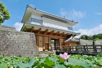 蓮が咲き夏を迎えた御楼門の景色