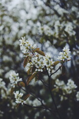 Processed with VSCO with f2 preset