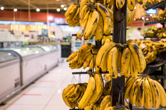 Closeup shot of ripe bananas for sale at hanging on a wooden post with hooks at the fruit section of a supermarket.