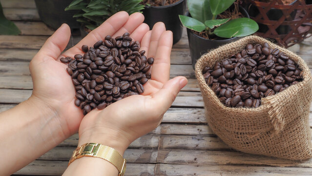 close up coffee beans on girl's hand