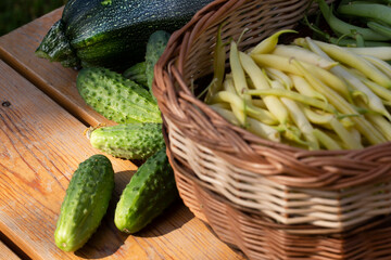 Raw green food. Healthy vegetarian food concept, fresh green food selection for detox diet
