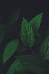 Processed with VSCO with f2 preset