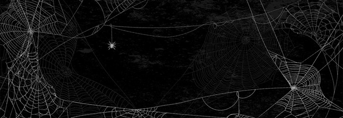 Spider webs on black wall - halloween banner with spider on dark background.