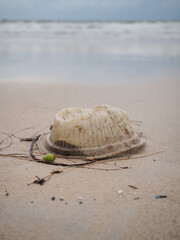 Plastic waste on Sandy beach