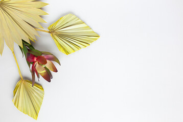 Flower composition made of dried palm leaves and exotic protea on pastel grey background. Nature tropical concept, copy space, flat lay.