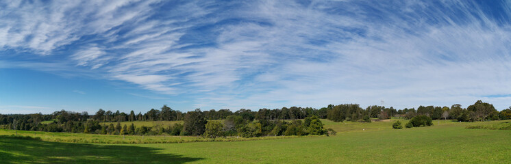 Beautiful afternoon panoramic view of a park with green grass, tall trees, deep blue sky with light clouds, Fagan park, Galston, Sydney, New South Wales, Australia