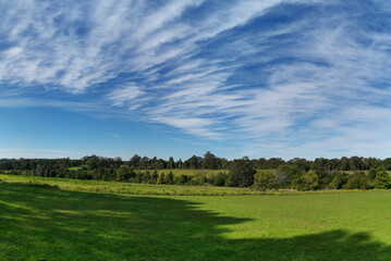 Beautiful afternoon panoramic view of a park with green grass, tall trees, deep blue sky with light clouds, Fagan park, Galston, Sydney, New South Wales, Australia