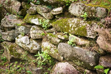 A very old stone wall with moss and lichen growing on it.