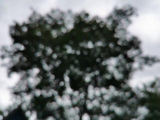 Nature bokeh and blur background