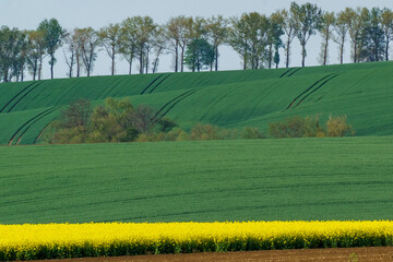 Opolskie krajobrazy 7 © FotoArt MP
