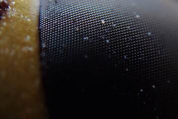 fiber optics background with lots of light spots