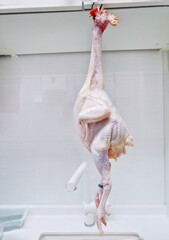 a chicken hanging on the cabinet