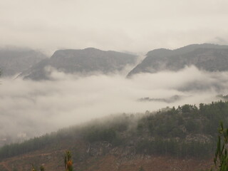 misty morning in the mountains