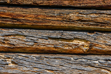 Texture of the logs damaged by wood pests. Wooden pattern for background