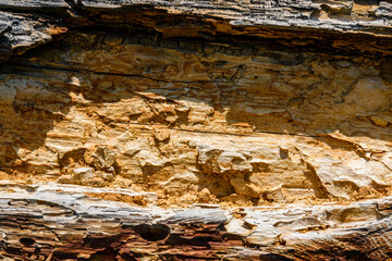 Texture of the log damaged by wood pests. Wooden pattern for background