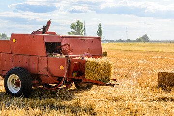 Harvester makes bales of straw at the agricultural field. Agricultural concept