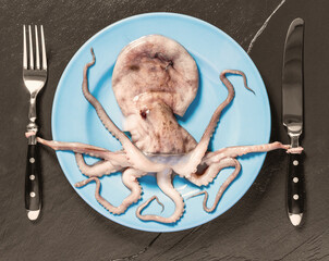 Octopus on blue plate holds cutlery