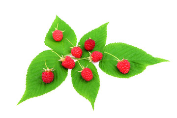 Red ripe raspberry with green leaves isolated on a white background. Healthy organic food. Harvest