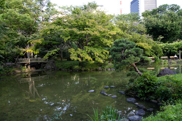 ビジネス街の中にある公園　東京都千代田区　日本