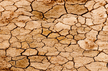 Dry cracked earth in Yellowstone National Park