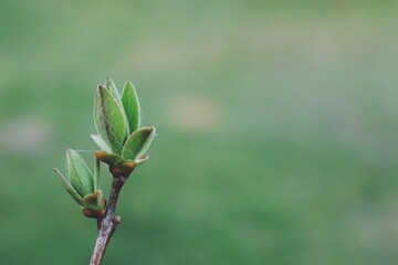 Processed with VSCO with f2 preset