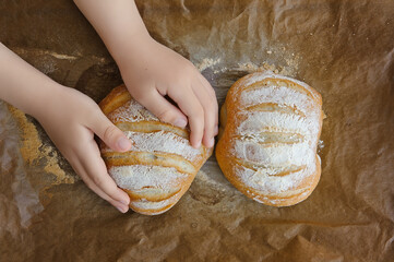 homemade hot flavored sourdough wheat bread,baby hands