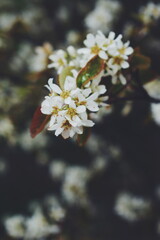 Processed with VSCO with f2 preset